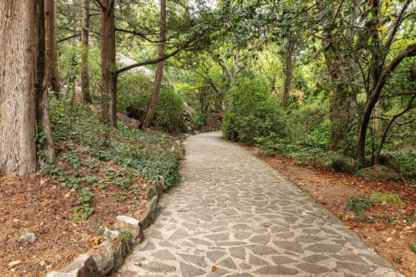 Stone Walkway Repair in Mankato
